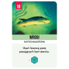 Kelp: Macki kontra Szczęki